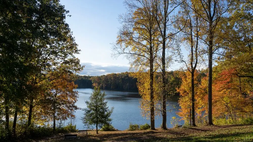 Seneca Creek State Park