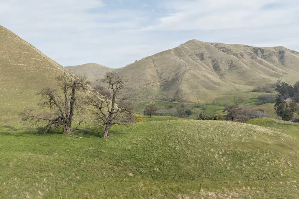 Black Diamond Mines Regional Preserve