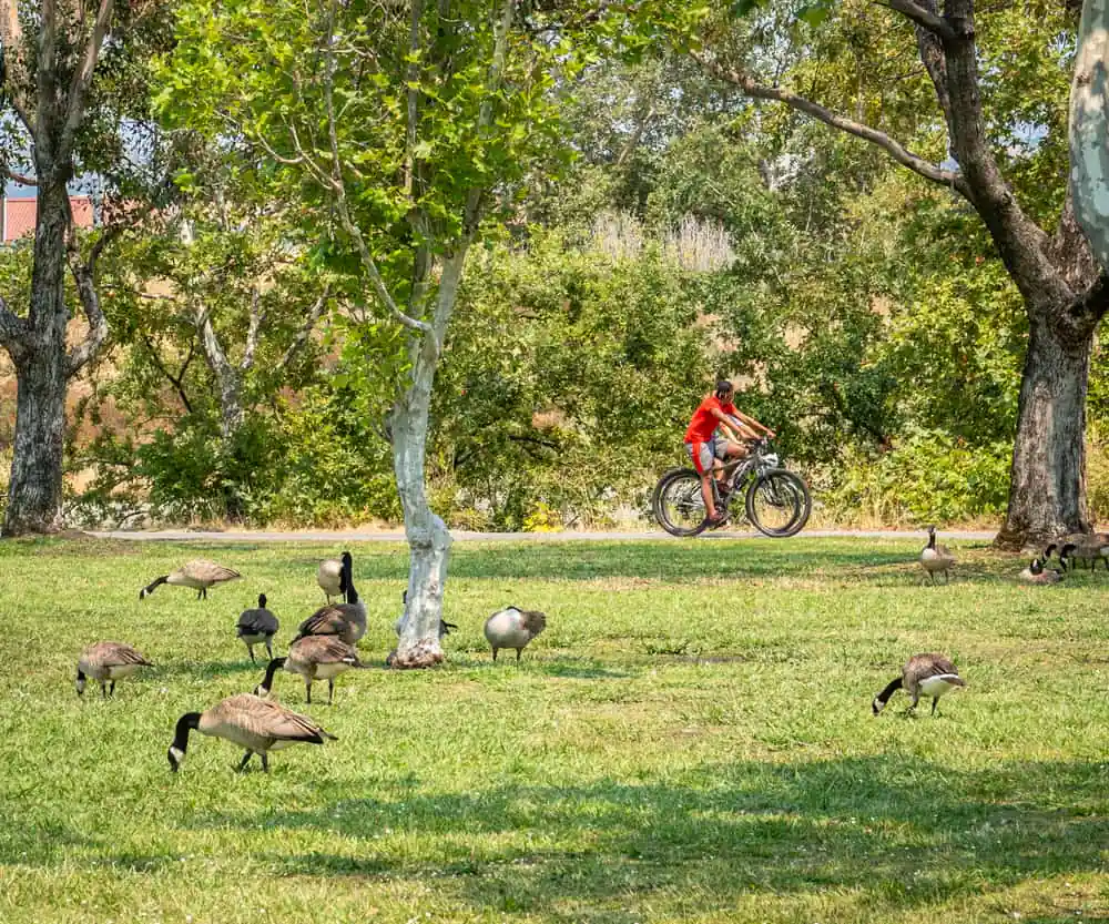 Campbell Park
