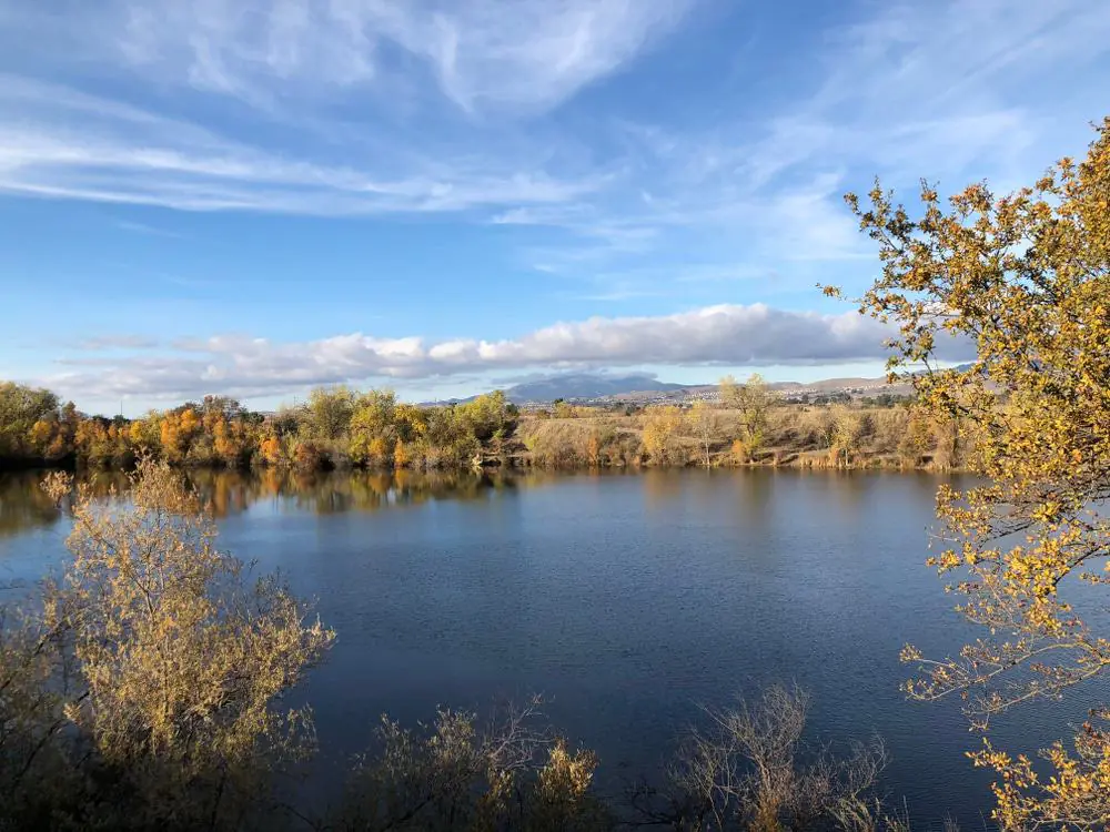 Shadow Cliffs Regional Recreational Area