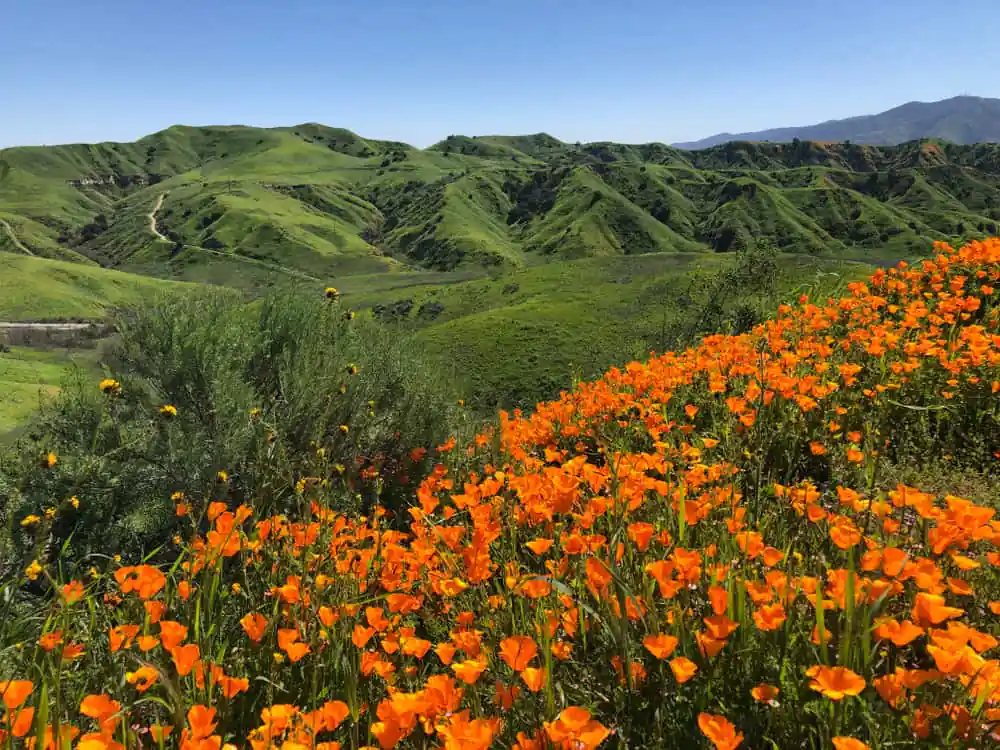 Chino Hills State Park