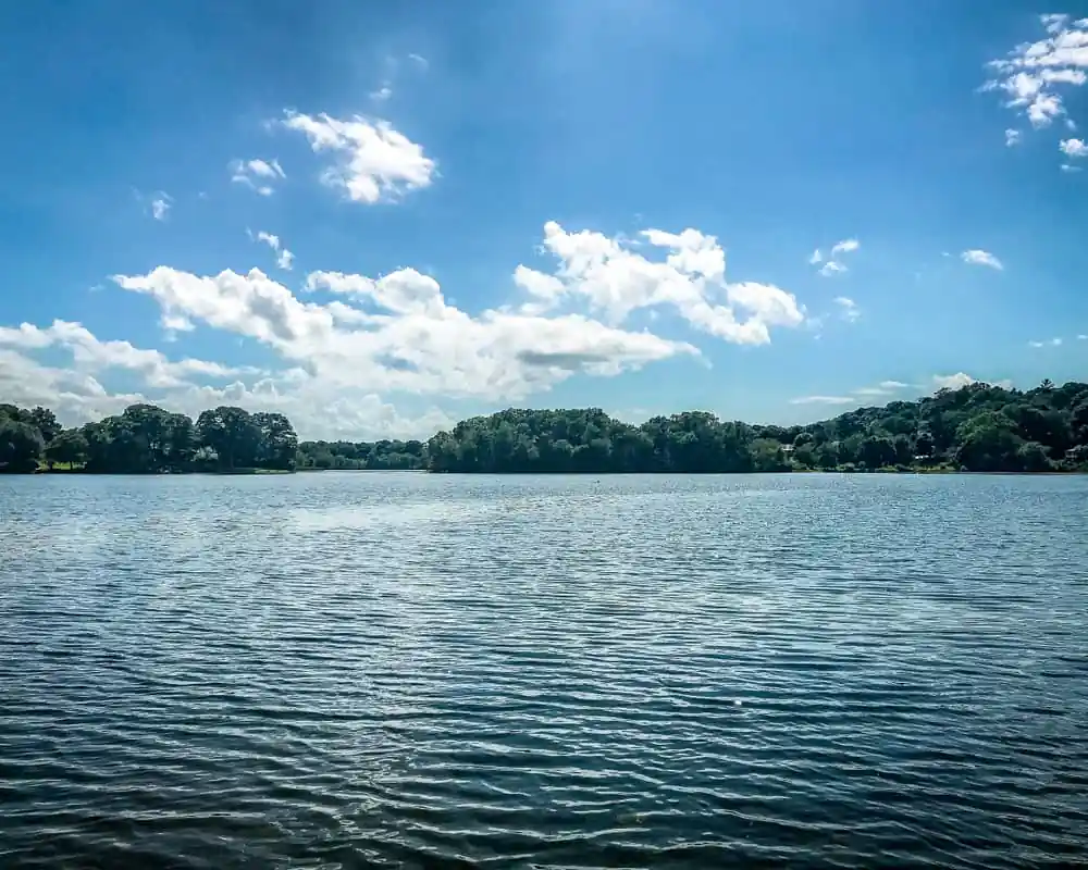 Spy Pond Park