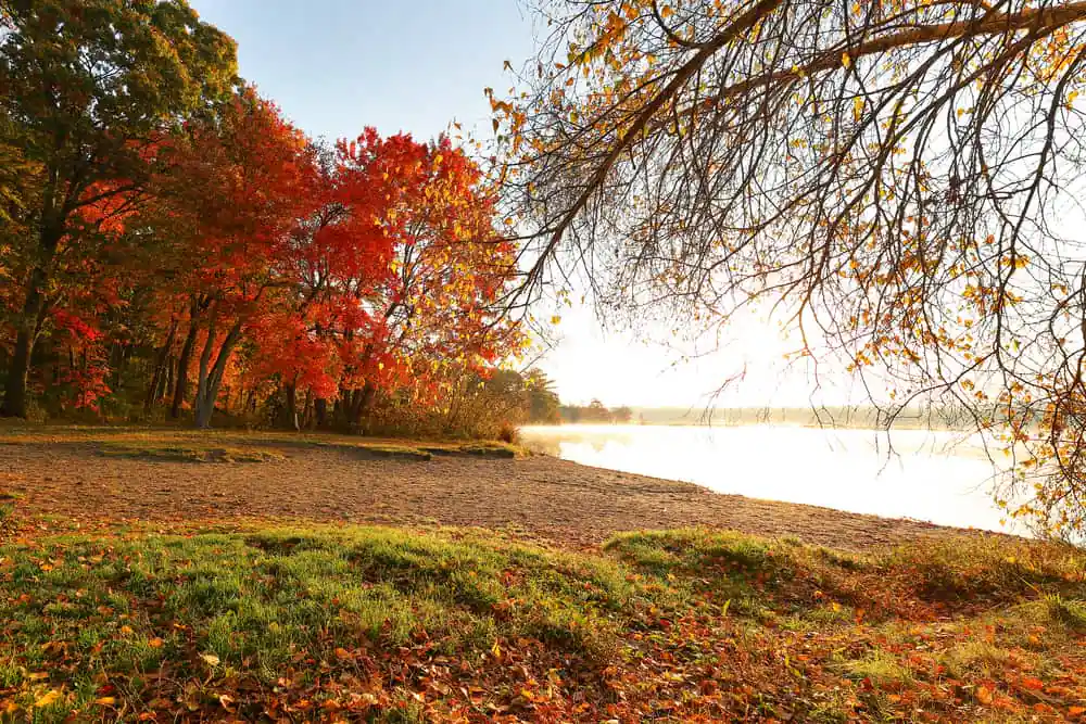 Sudbury Reservoir Trail