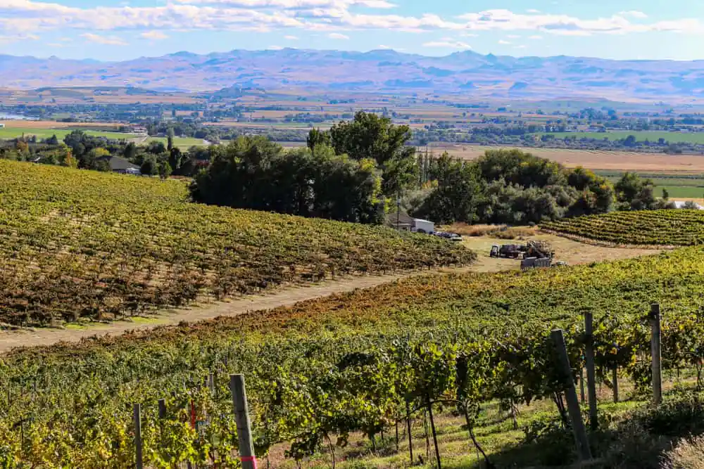 Sunnyslope Wine Trail