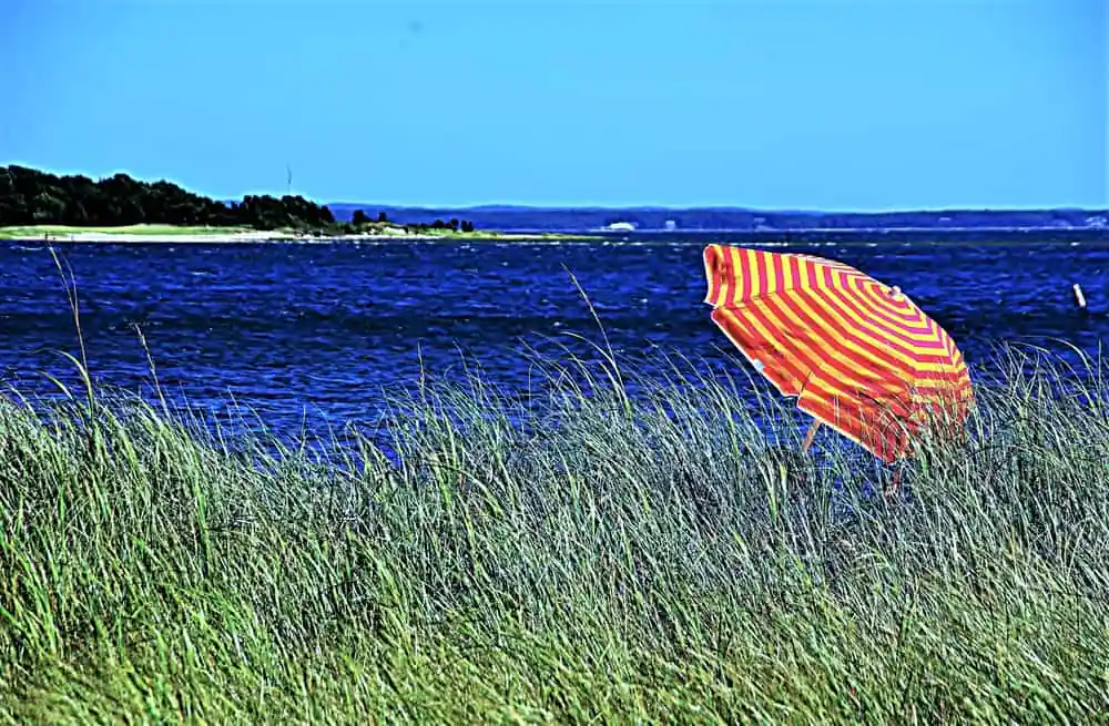 Swift’s Beach