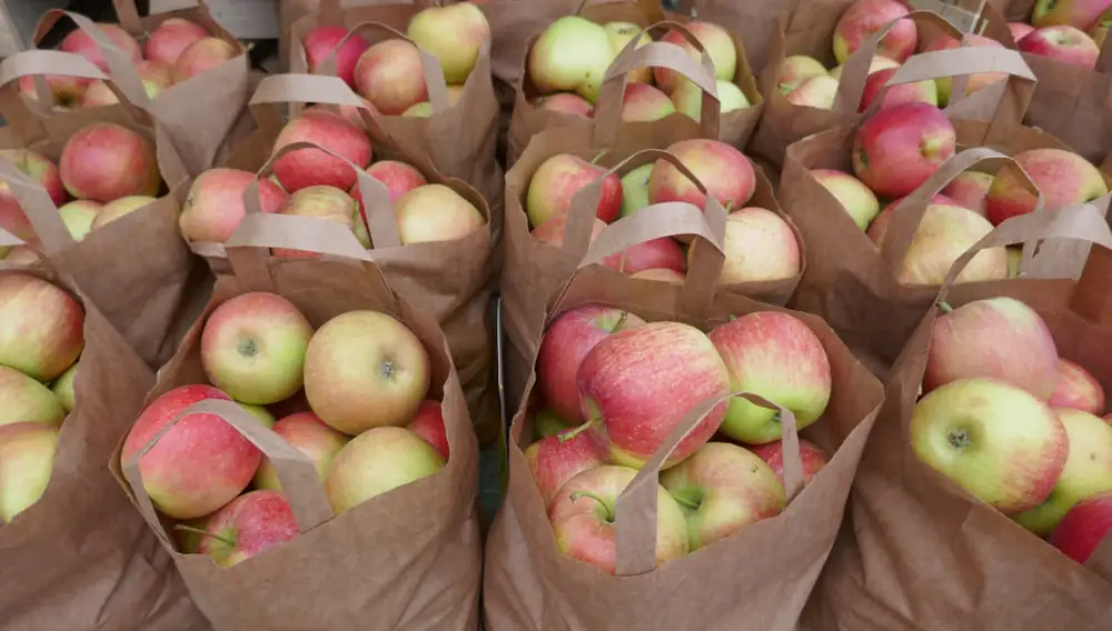 Apples