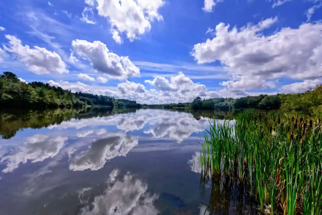Wampatuck Pond