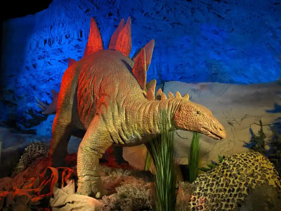 Kokoro Exhibits