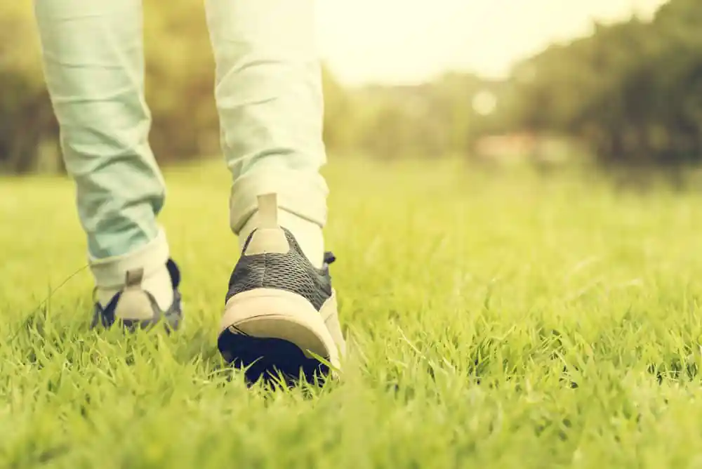 Stroll in the Park