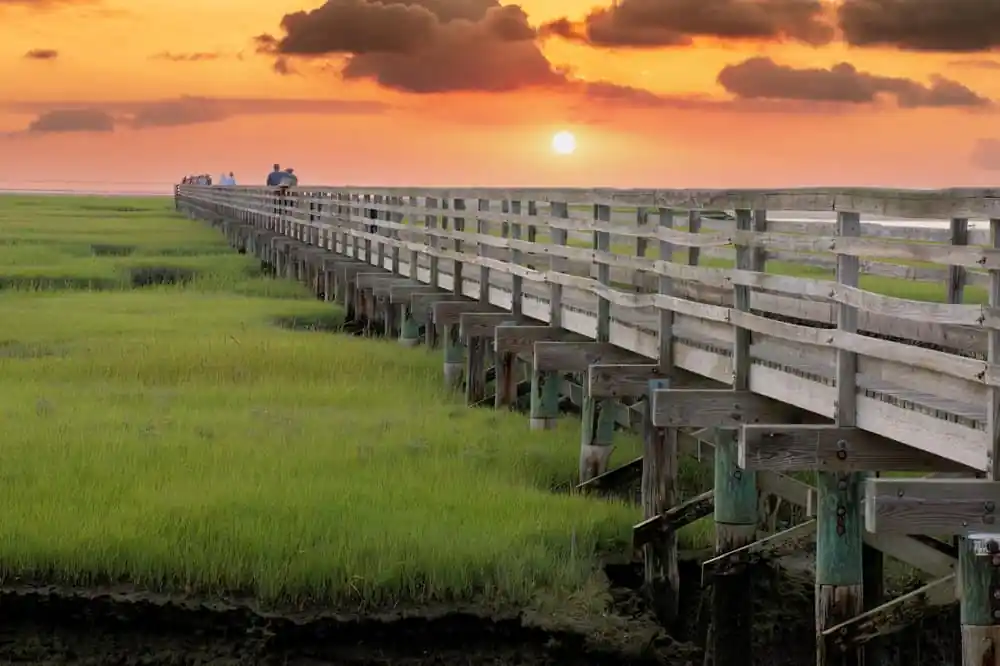 Bass Hole Boardwalk