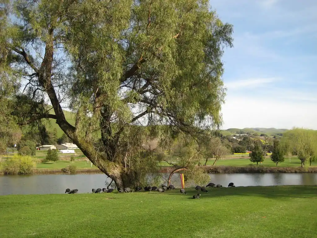 Spring Valley Golf Course