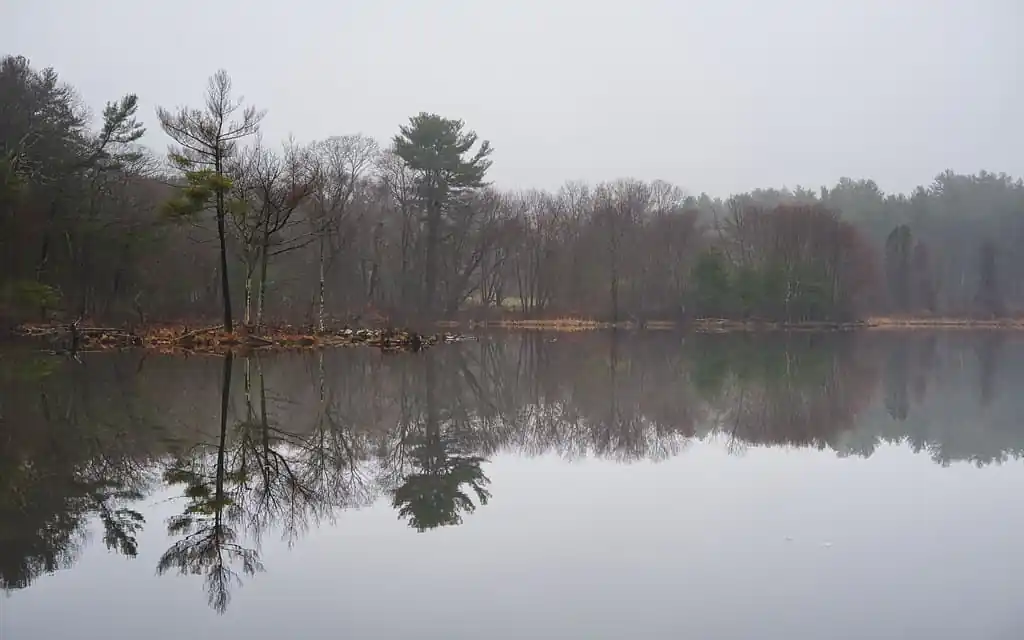Cat Rock Park