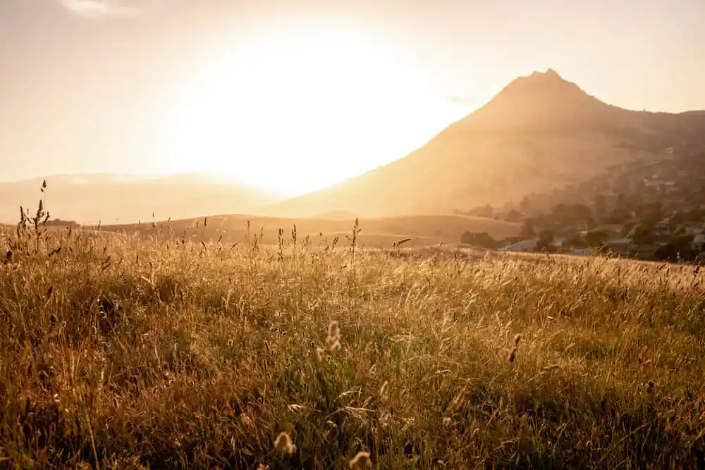 Bishop’s Peak