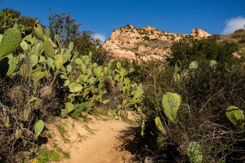 Whiting Ranch Wilderness Park