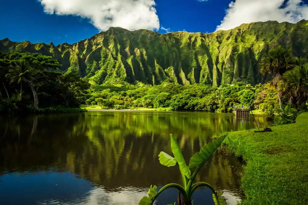 Ho'omaluhia Botanical Garden