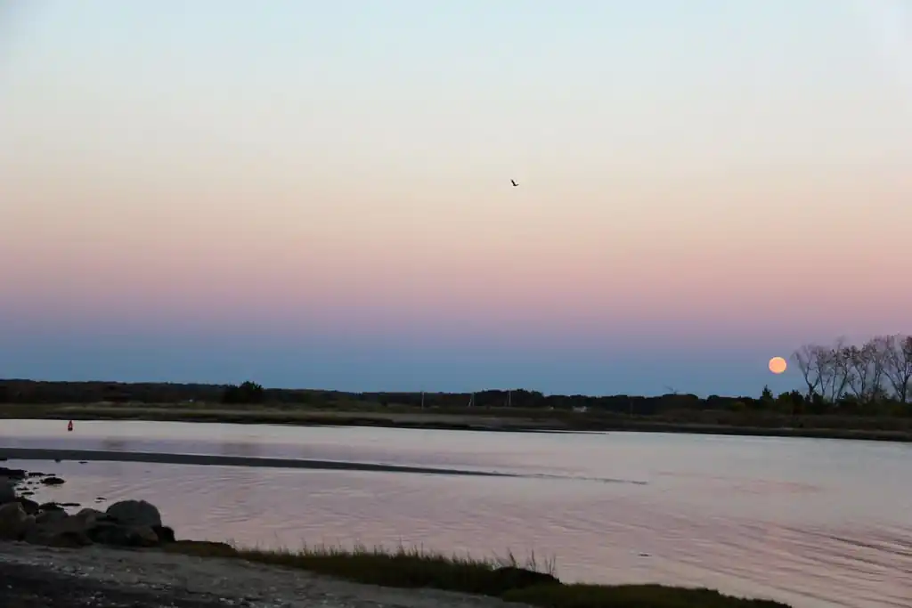 Jacobs Beach