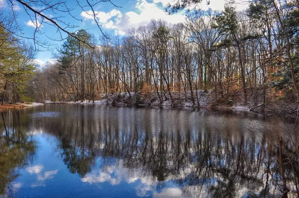 Tidbury Creek County Park