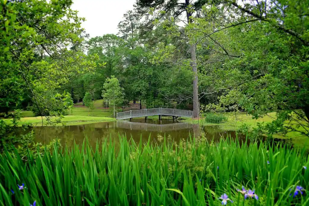 Lockerly Arboretum