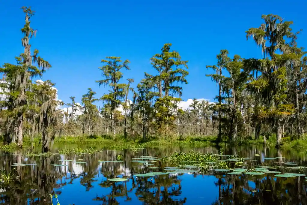 Mandalay National Wildlife Refuge