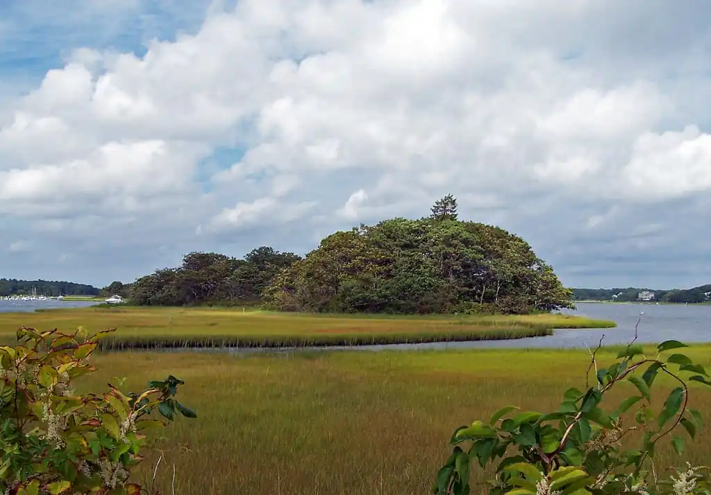 Mashpee National Wildlife Refuge