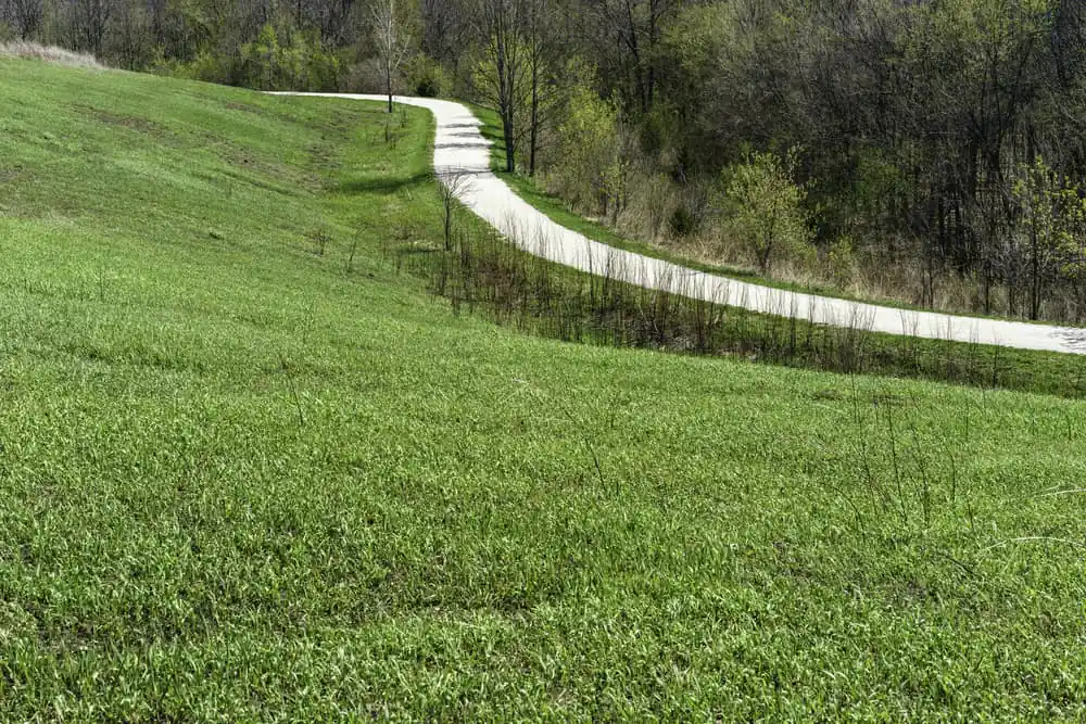 Meacham Grove