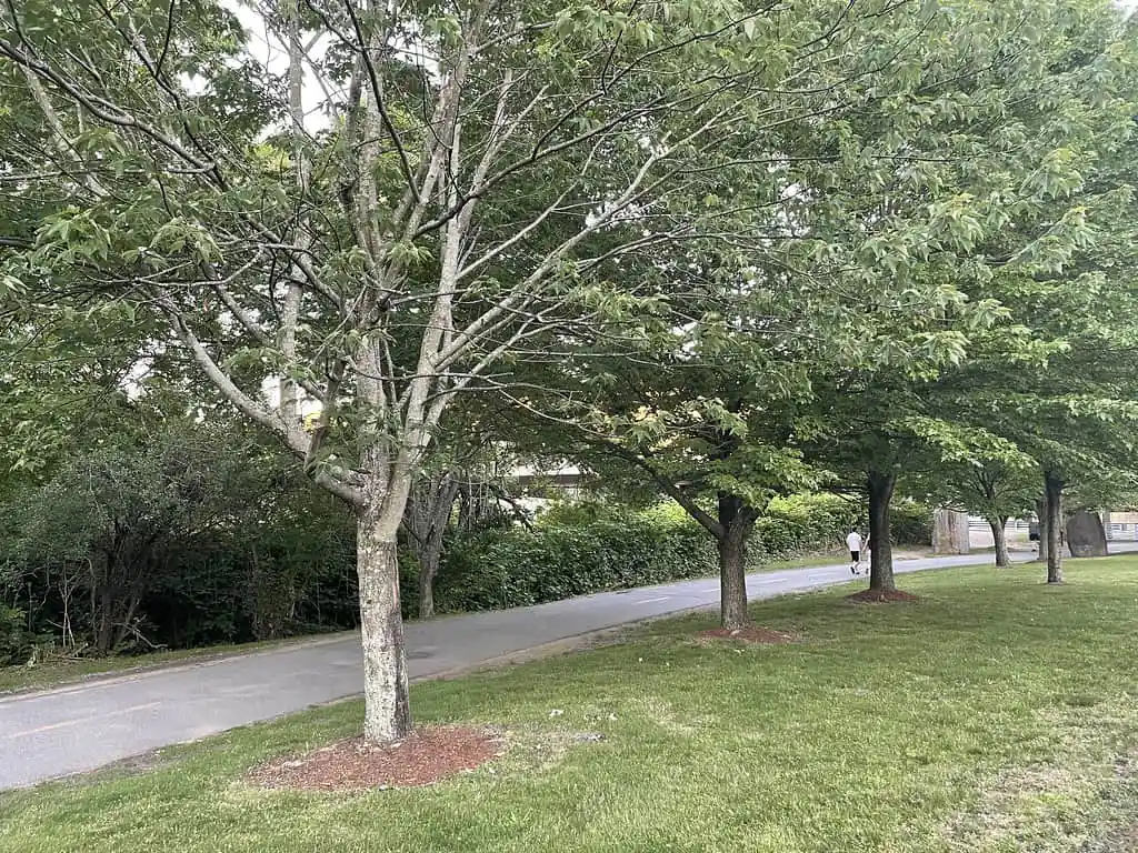 Minuteman Commuter Bikeway