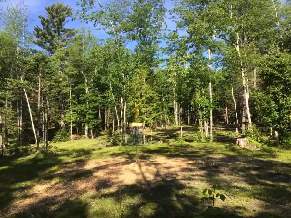 Cripps Creek Disc Golf