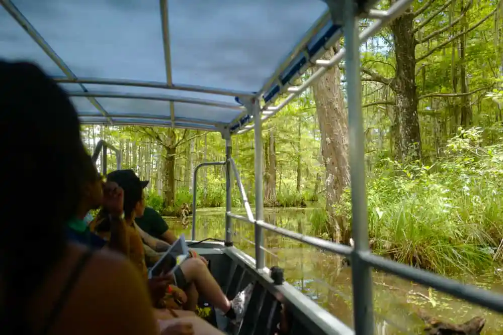 Honey Island Swamp Boat Tour