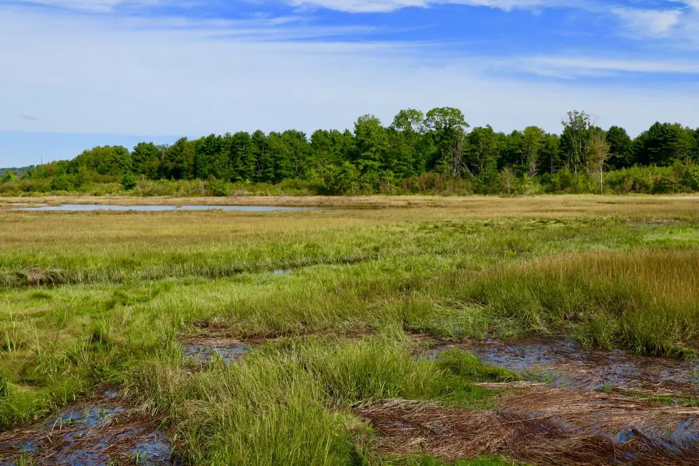 The Eastern Trail