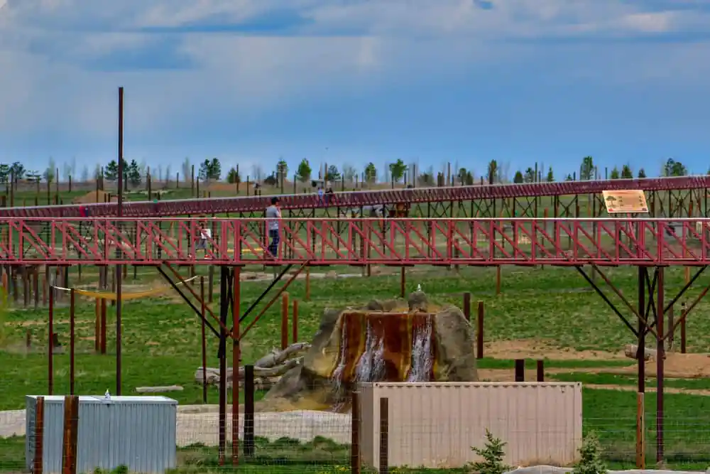 Wild Animal Sanctuary
