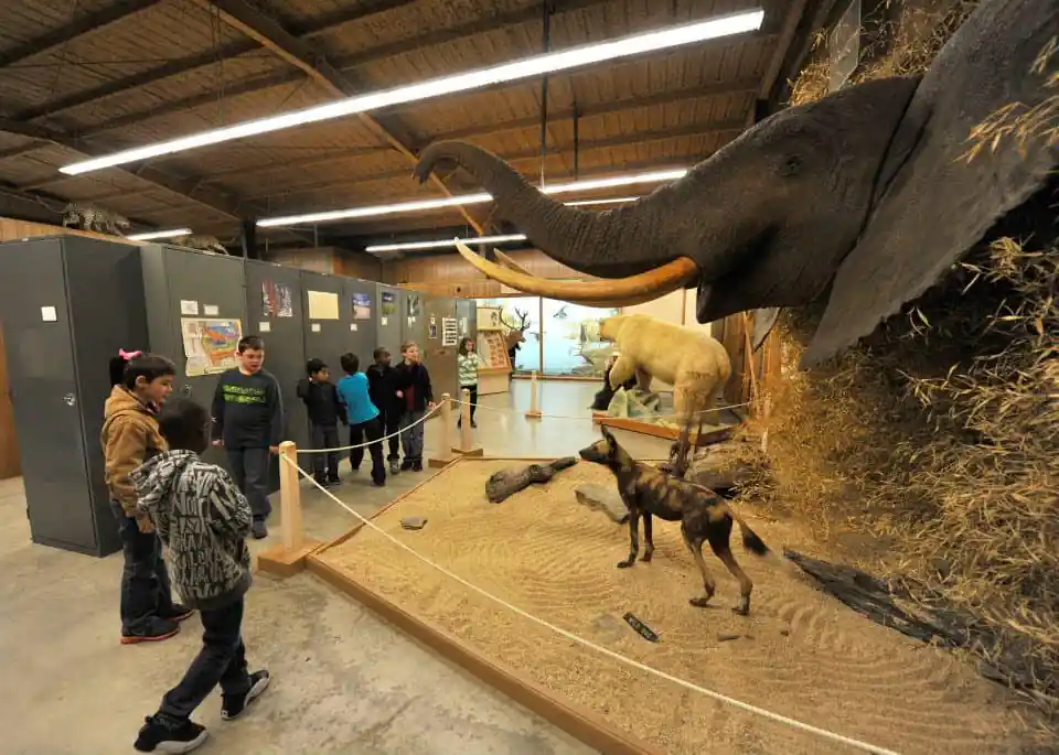 Turner Neal Museum Of Natural History