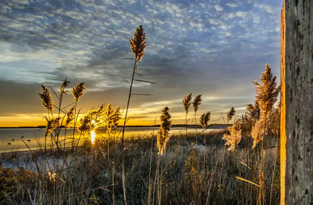 Hyannis Beach at Sunrise
