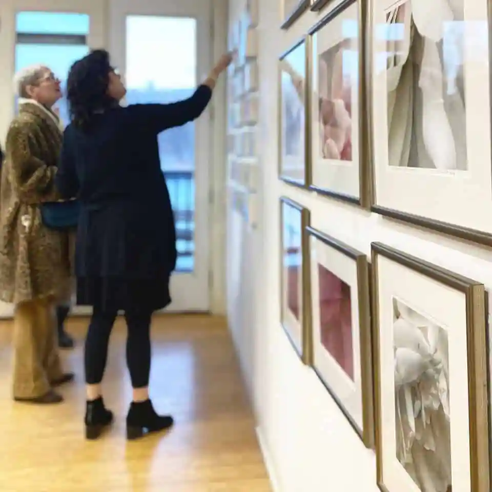 Harlow Gallery