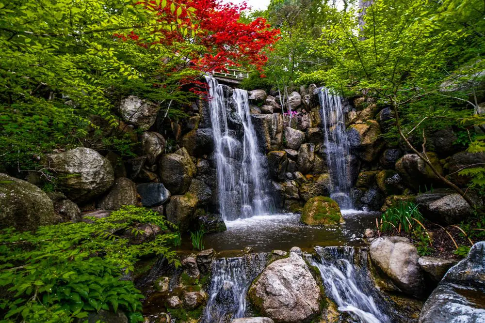 Anderson Japanese Gardens