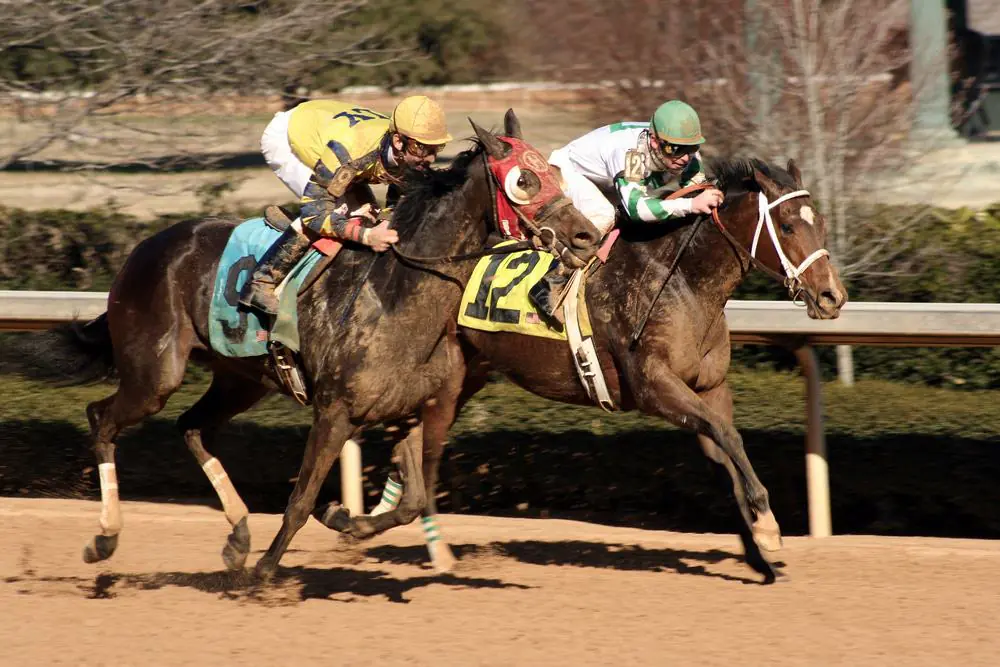 Oaklawn Race Track In Hot Springs