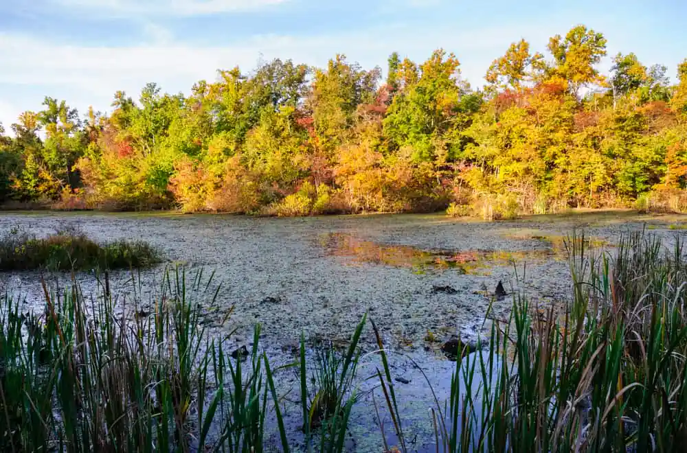 Barren River Lake State Park