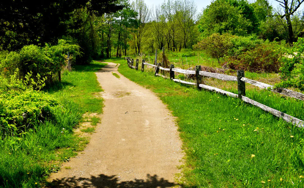 Battle Road Trail