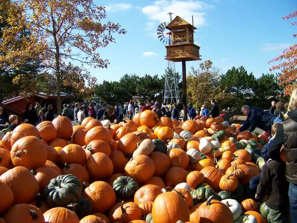 Bengtsonโs Pumpkin Farm and Fall Fest