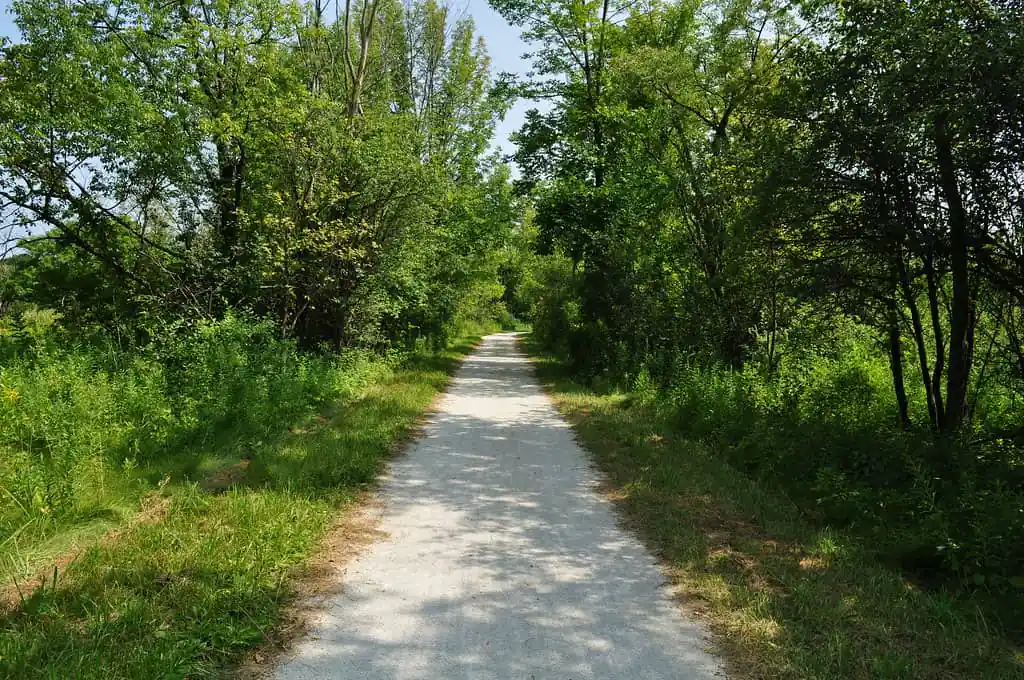Camp Pine Woods