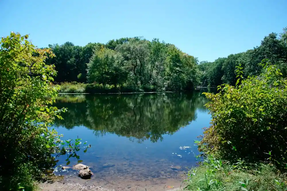 Charles River Peninsula