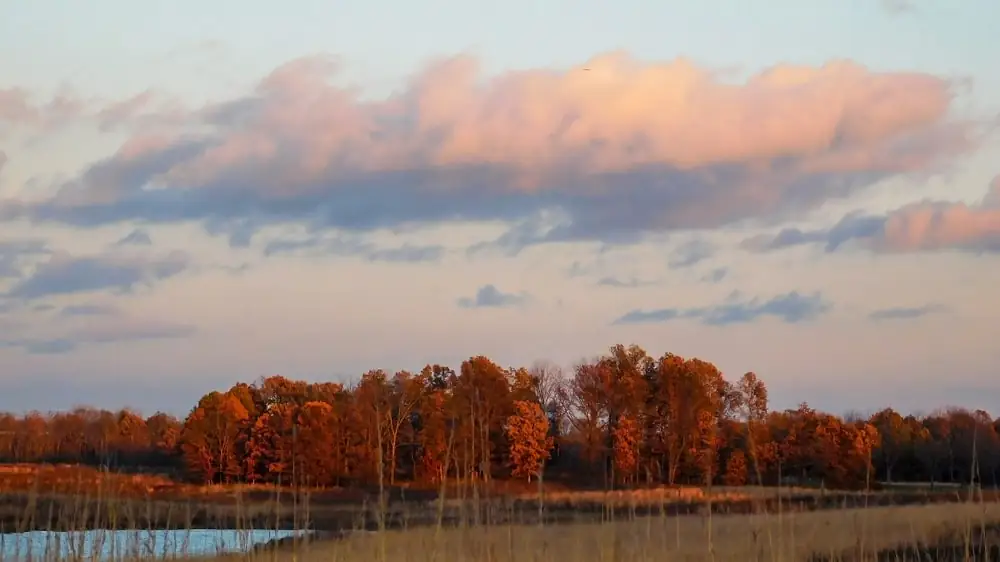 Deer Grove Forest Preserve