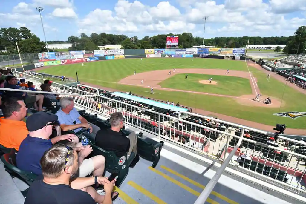 Delmarva Shorebirds