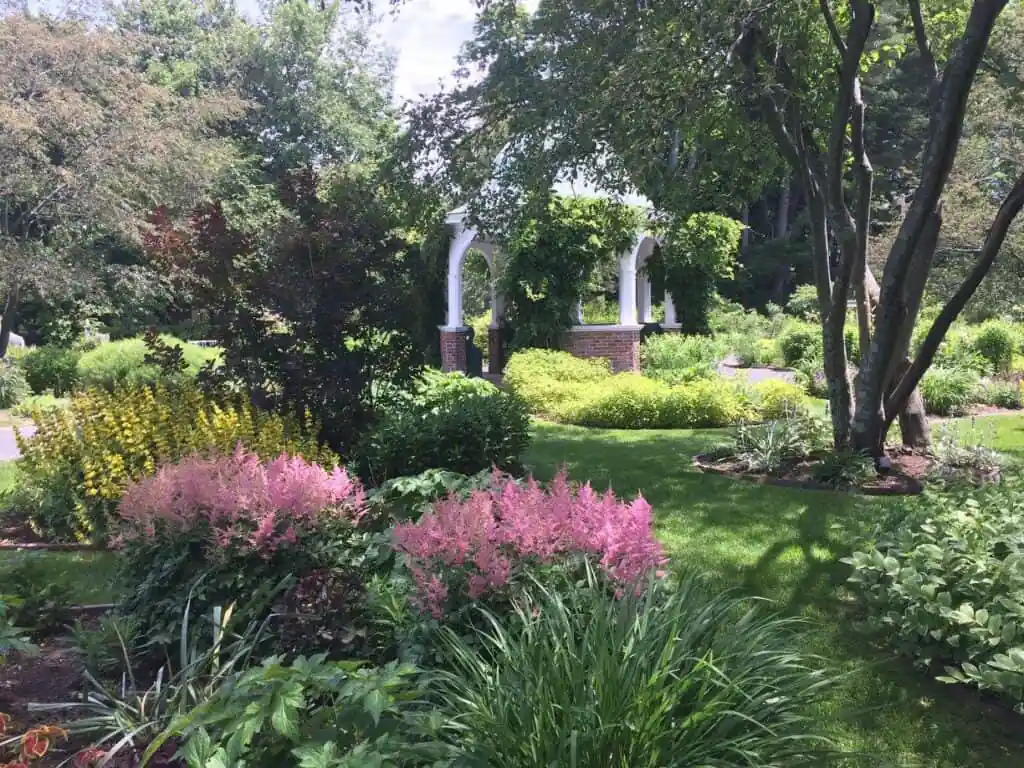Grandmotherโs Garden