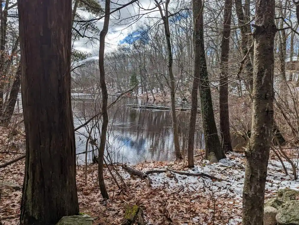 Hamlen Woods
