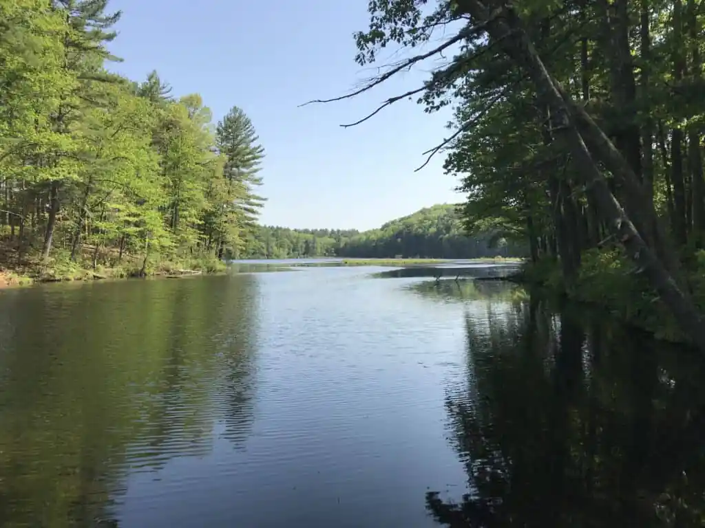 Heald Pond