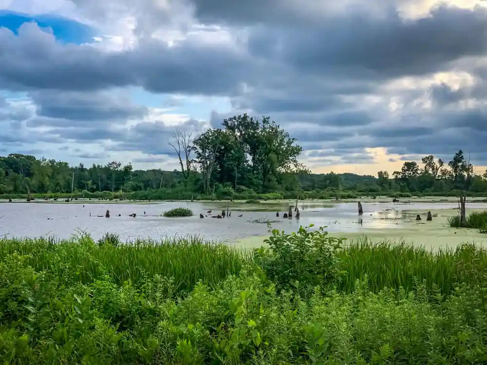Great Marsh, Indiana Dunes National Park