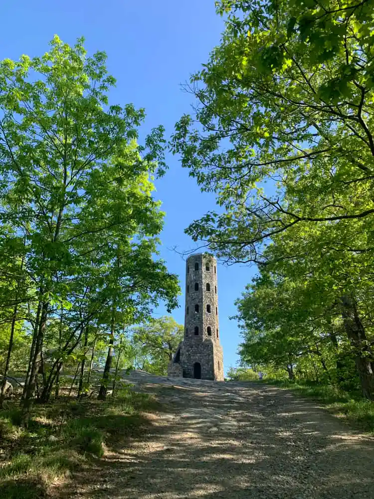Lynn Woods