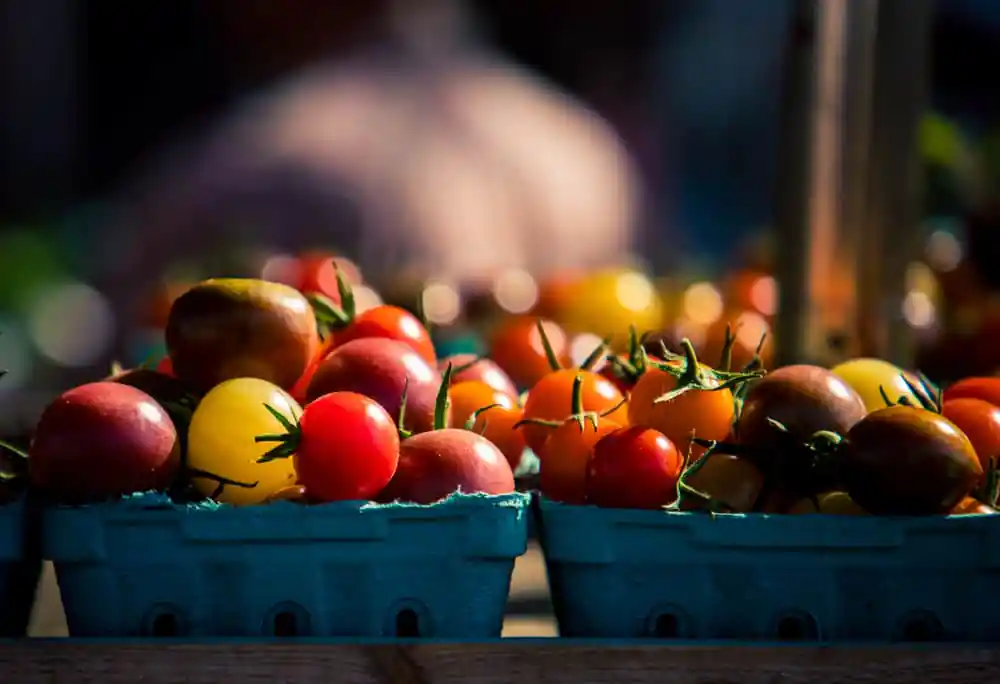 Moscow Farmers' Market