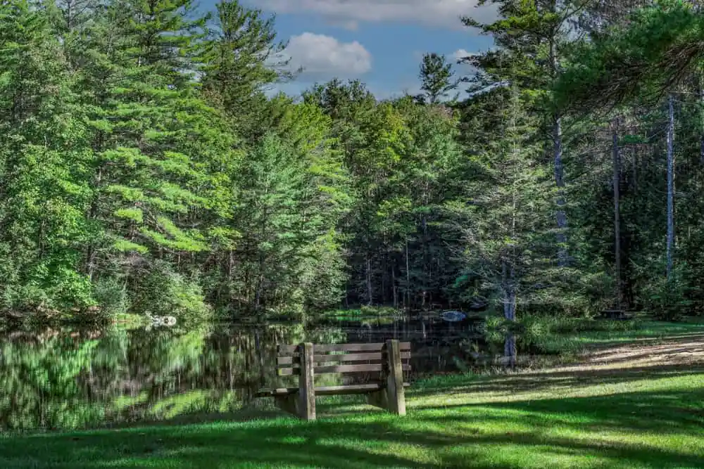 Beaman Pond, Otter River State Forest