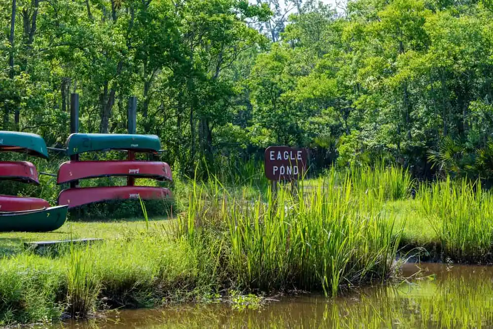 Palmetto Island State Park